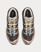 Salomon XT-6 LAB
